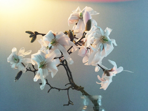 stolen with love, March 2015