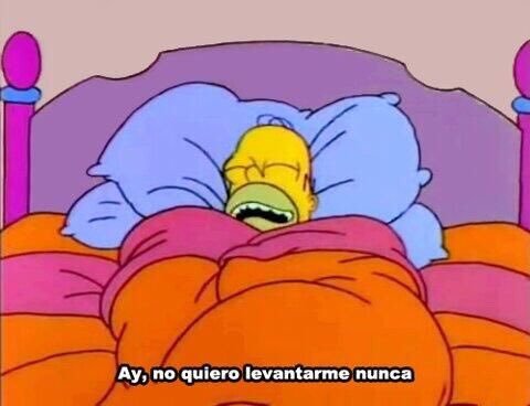 roseuth:  Homero me representa en la vida 