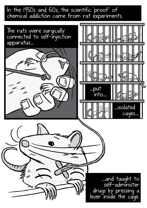 jerichocaine: wrigglesandgiggles:   jenroses:  elodieunderglass:  kounttrapula:     ‘Rat Park’ -Stuart McMillen   You’ll never think about drug addiction the same way again after reading this comic.   What I found absolutely impressive and stunning