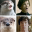 hiddlespudding