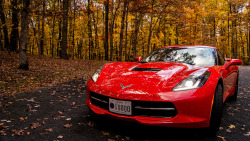 aguysmind:  Corvette by Tom Finzel | Source