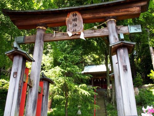 namimushisrn: 神明神社（2017/06/10）　Shinmei-Shrine 東京都八王子市上柚木   Kamiyugi, Hachioji, Tokyo, 