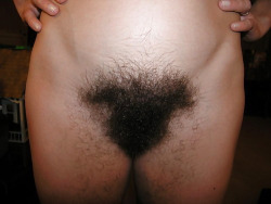 ladypubes:  Full bush 