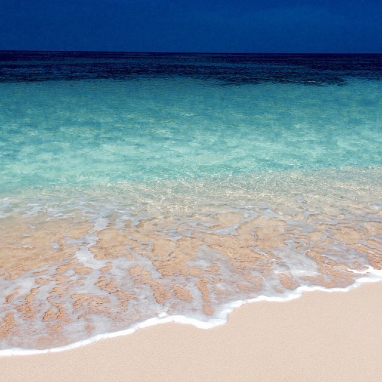 litoraltropical:  bikinisandflip-flops:  Summer vibes x  🌊 Litoral Tropical 🌊