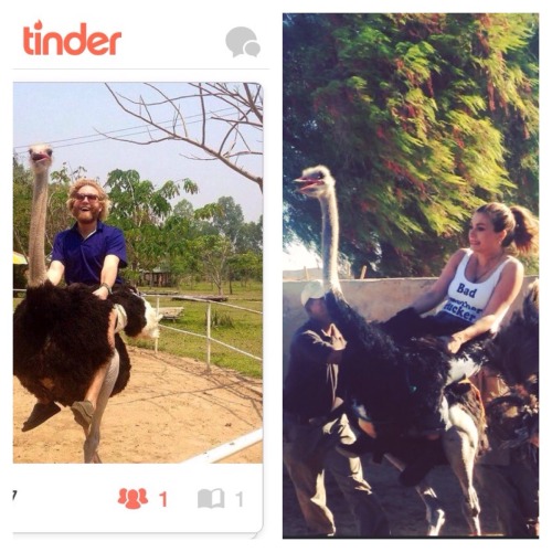 Pretty sure I just found my soulmate…..Ostrich riding FOR THE WIN!