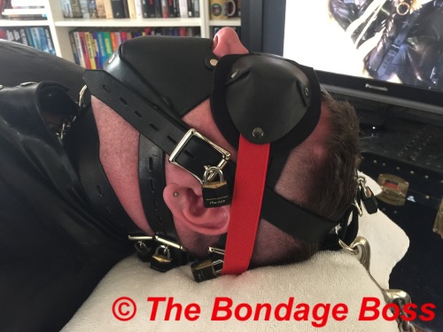 thebondageboss:  Saturday, August 15, 2015 3:55pm After an hour of programming the pig was stimulate