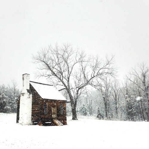 A beautiful cabin in Appomattox, Virginia | Photo by Jody Johnston, Foxes and Feathers