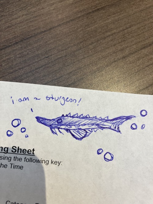 Boss Makes A Dollar I Make A Dime I Draw Sturgeon On Company Time