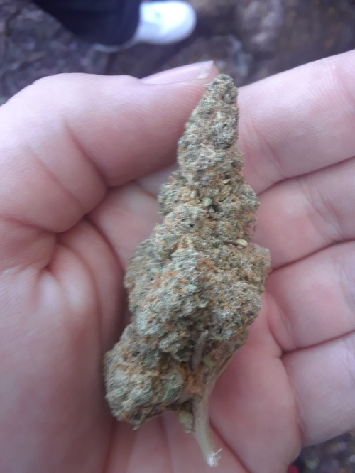 All my sacks pt ½ #weed #blunts #joints #bongs4life #Kush #Purp #marijuana