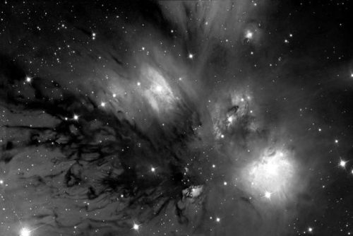 spectral-insomnia:  NGC 2170