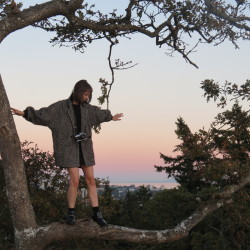 erynlou:  me in a tree last night as captured