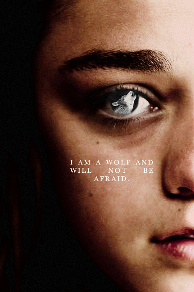 catfromjapan:You have the eyes of a wolf and a taste for blood. 