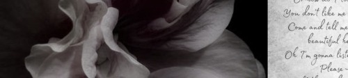 ୨୧ 一 VAMPIRE!ENHA REACTION TO SOOHA HURTING THEIR PARTNER . . !