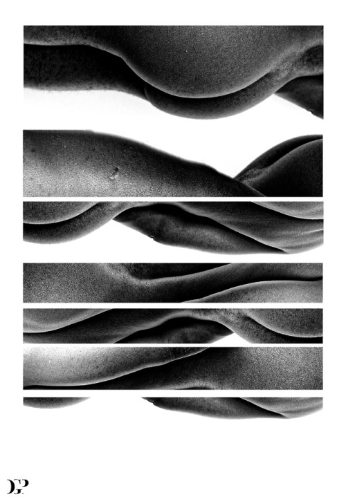 Landscaping - 2015