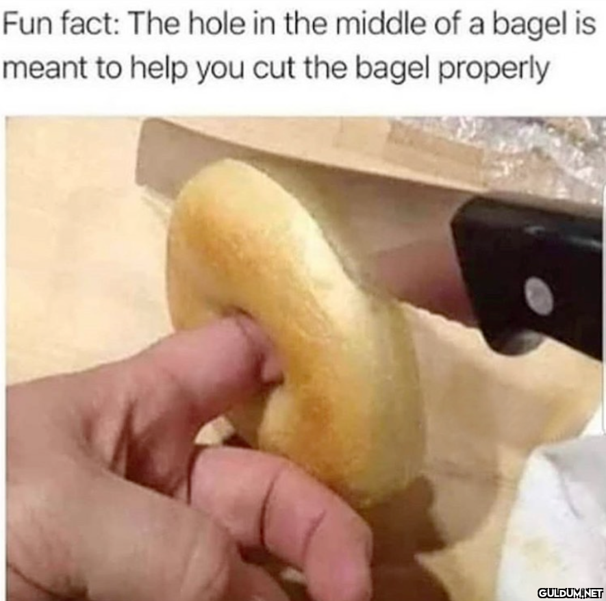 Fun fact: The hole in the...