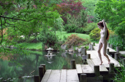 bgrossmanfineartnudes:the japanese garden