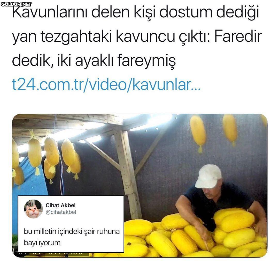 Faredir dedik, yılan...