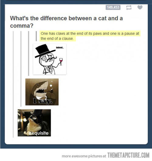 itsstuckyinmyhead:  Times Tumblr Made You Question Life