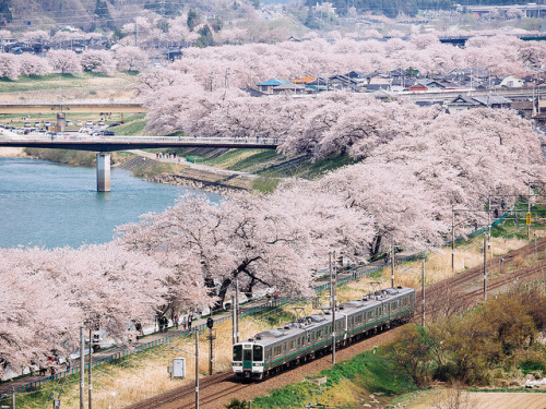 東北本線 船岡～大河原 Tohoku Line (Funaoka ~ Ogawara) by かがみ～ on Flickr.