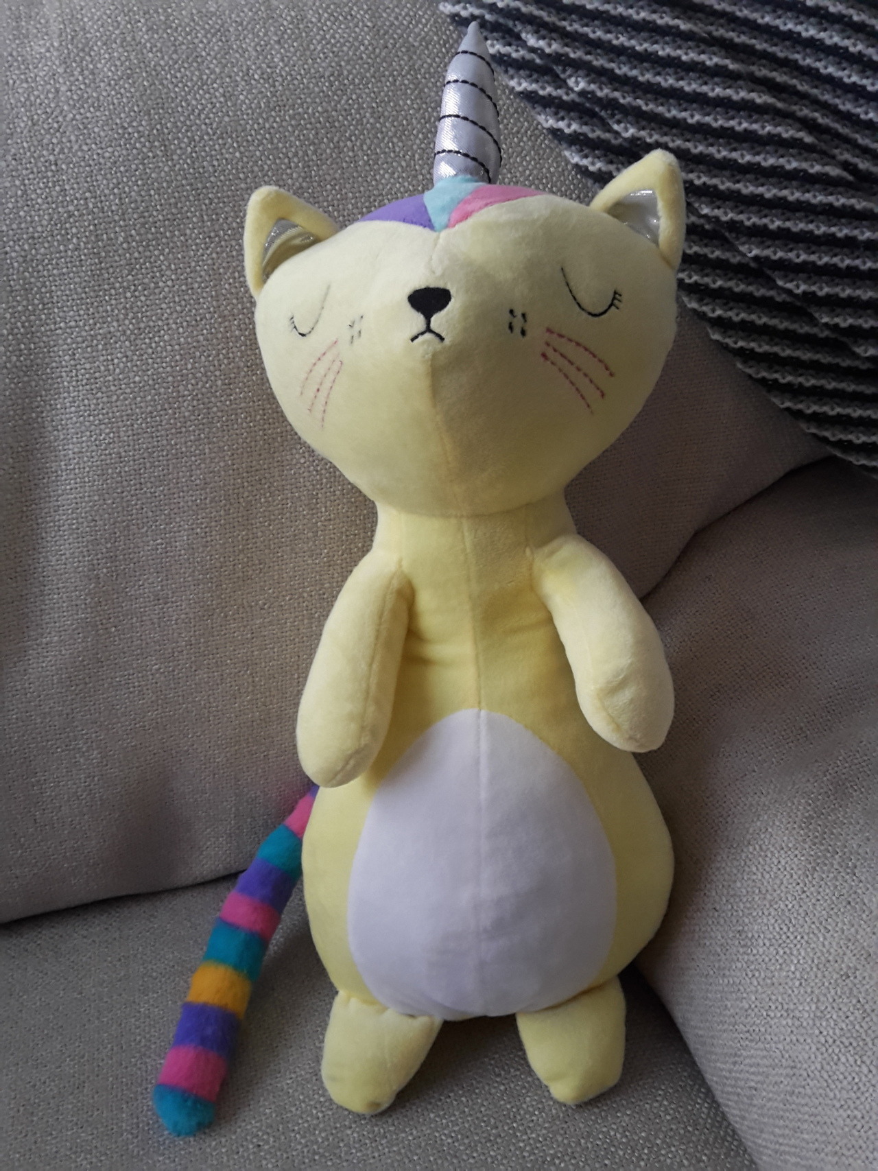 I bought a Caticorn today coz I&rsquo;m an adult and i can spend my money however