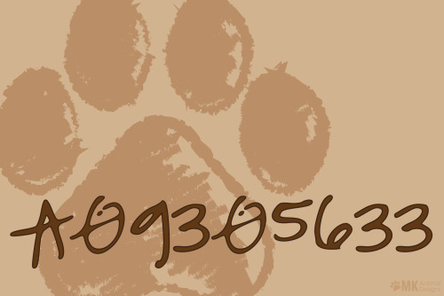 This is the number that was assigned to my dog when she first came into the shelter. We adopted her 
