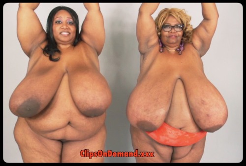 XXX #BIGTITS Norma Stitz ZZZ Cups Cotton Candy photo