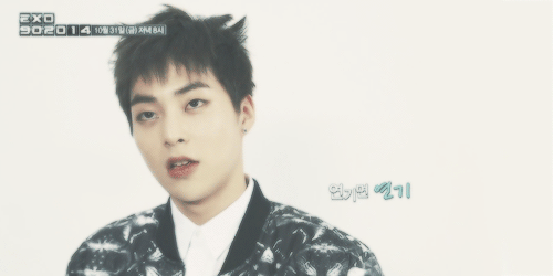 hahroro:  kitty ears (•⊙ω⊙•) 