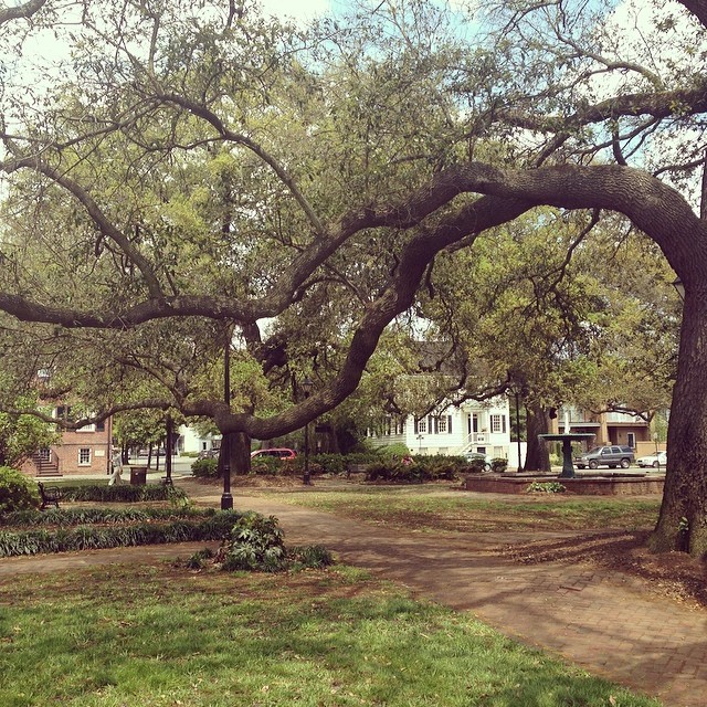 natiweez:  Columbia Square #columbiasquare #savannah #savannahga #spring  (at Columbia