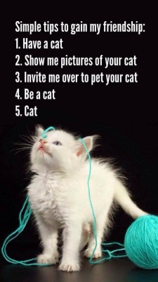 wildphilosoraptor:  avanavera:  wildphilosoraptor:  True story  This list is very true for me but I’ve also been told that I can cat pretty good.  New game show idea: So You Think You Can Cat. 