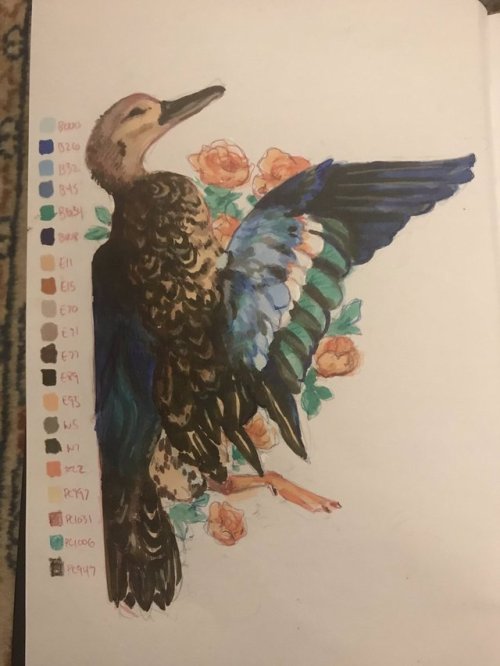 alekivz:i draw my birds one half at a time, just like anybody else