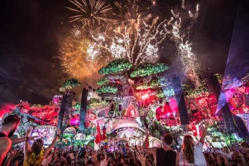 edm-and-girls-4ever: Armin van Buuren - Tomorrowland 2016