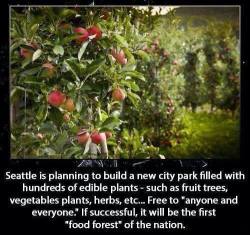 paws-grandad:  pantsareforassholes:  progenyofworms:  youngprogressivevoices:  I support this food forest, I want one in my town!  Seattle! I want to be there now  That is so cool.  Awesome shit never happens in Florida. 