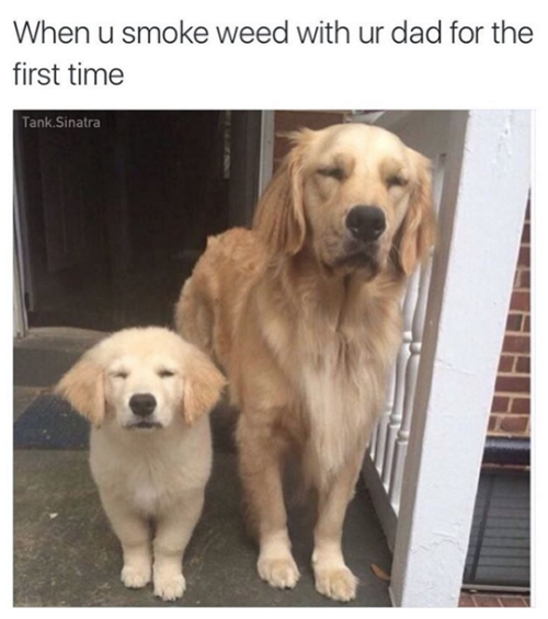 tastefullyoffensive:  (via tank.sinatra)