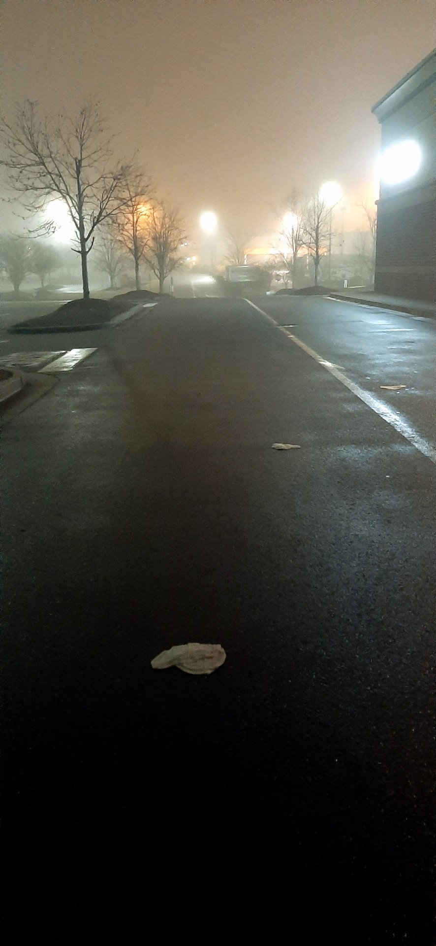 I Just Got Out Of Work And Its Super Foggy Out. Thought These Looked Neat!
