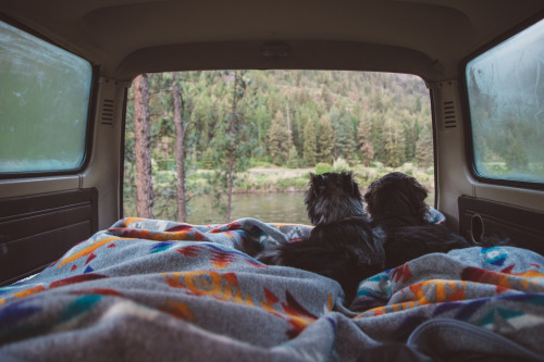 automaticallyoutstanding: Waking up in Western Montana