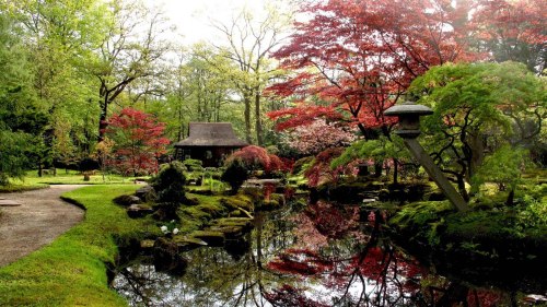 japan garden