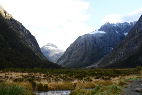 aratrikag05: Monkey Creek, Fiordland National Park.New Zealand. Camera: Nikon D5200 (18-55mm kit len