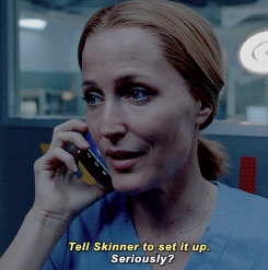 spookyfbi:  thexfilesgifs:  I Want to Believe // 10x01 My Struggle  Other male protags: