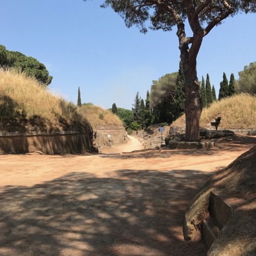 thecrankyprofessor:Cerveteri - the ancient Etruscan necropolis. The site was almost empty of other v