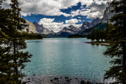 foresthetics:  Maligne Valley : Jasper National park (by Josiane .)