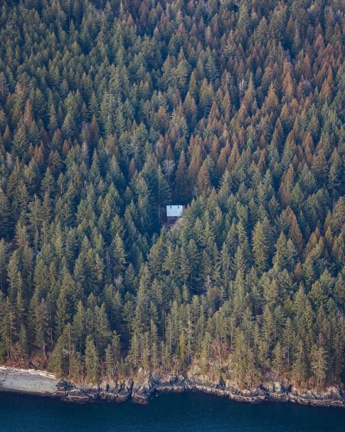 tobyharrimanphotography:Secluded - #vancouver  (at Vancouver, British Columbia)