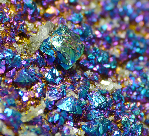 ggeology:  Chalcopyrite and Dolomite // Viburnym Trend District, Missouri, USA