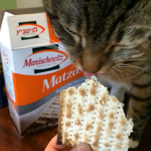 silverpanther:Chasetopher keeping it kosher for Passover.