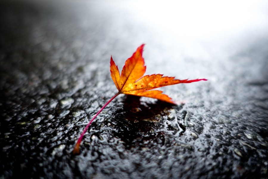morethanphotography:  Onsen Leave by olivier_shaw 