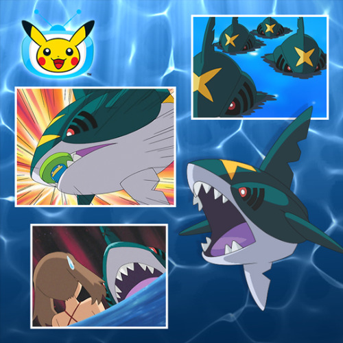 pokemon:It’sSharpedo Week on Pokémon TV, Trainers! Tune in to catch your favorite Sharpedoepisodes i