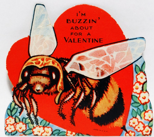 Vintage Valentines: weird valentines cards adult photos