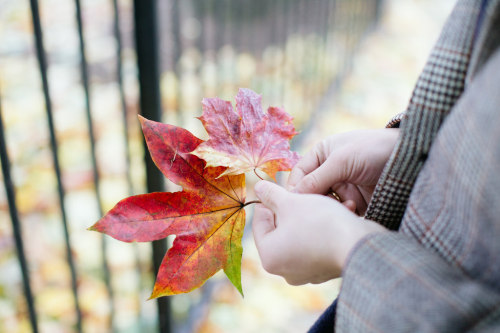 celeritious:   	sat. by mariell øyre    	Via Flickr: 	hjartesmil.com   
