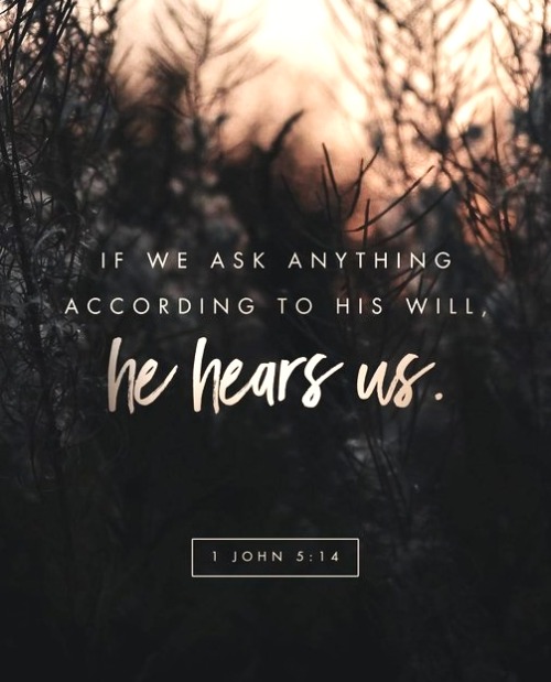 1 John 5:14 (NKJV) - Now this is the confidence that we have in Him, that if we ask anything accordi