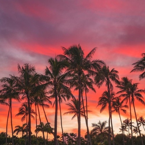 different-landscapes - Oahu, Hawaii