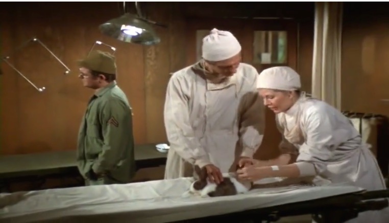 M*A*S*H Notes — (*DISPATCH*) s06e19: What's Up, Doc?